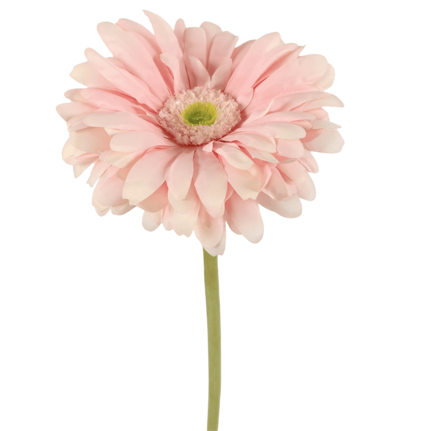Seidenblume Gerbera - Hellrosa
