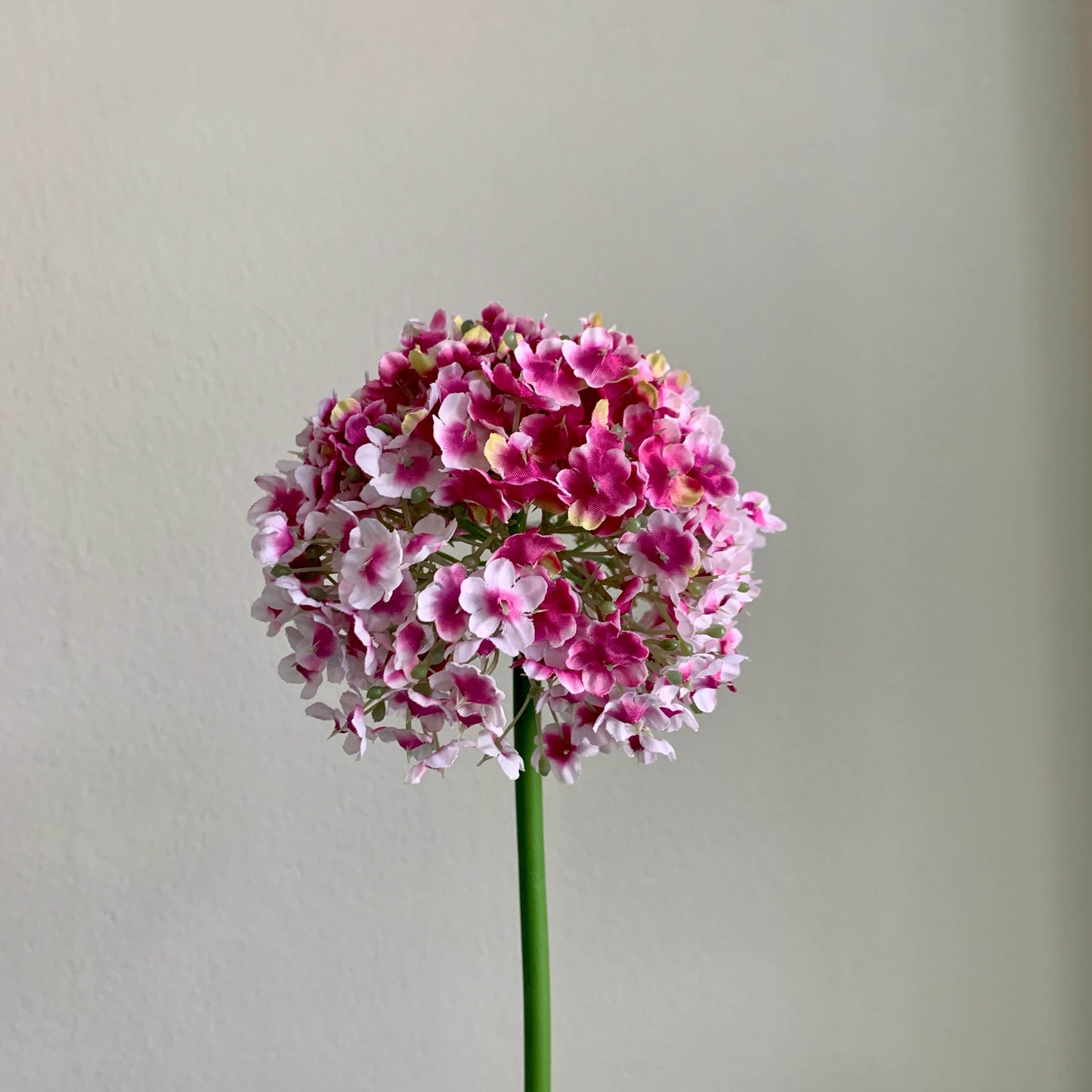 Zijden Allium bloem
