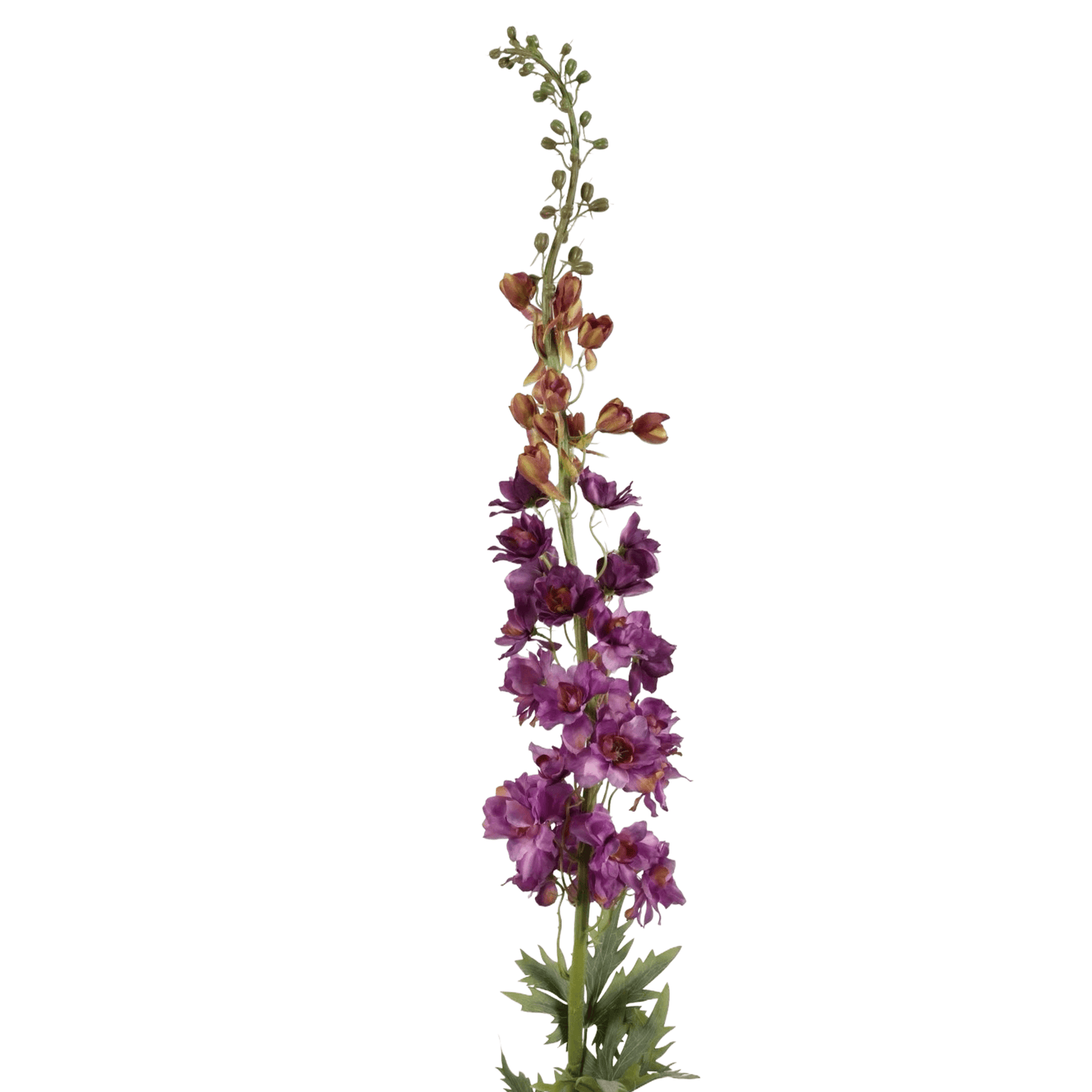 Delphinium Tak – Paarse Bloemen, 137 cm