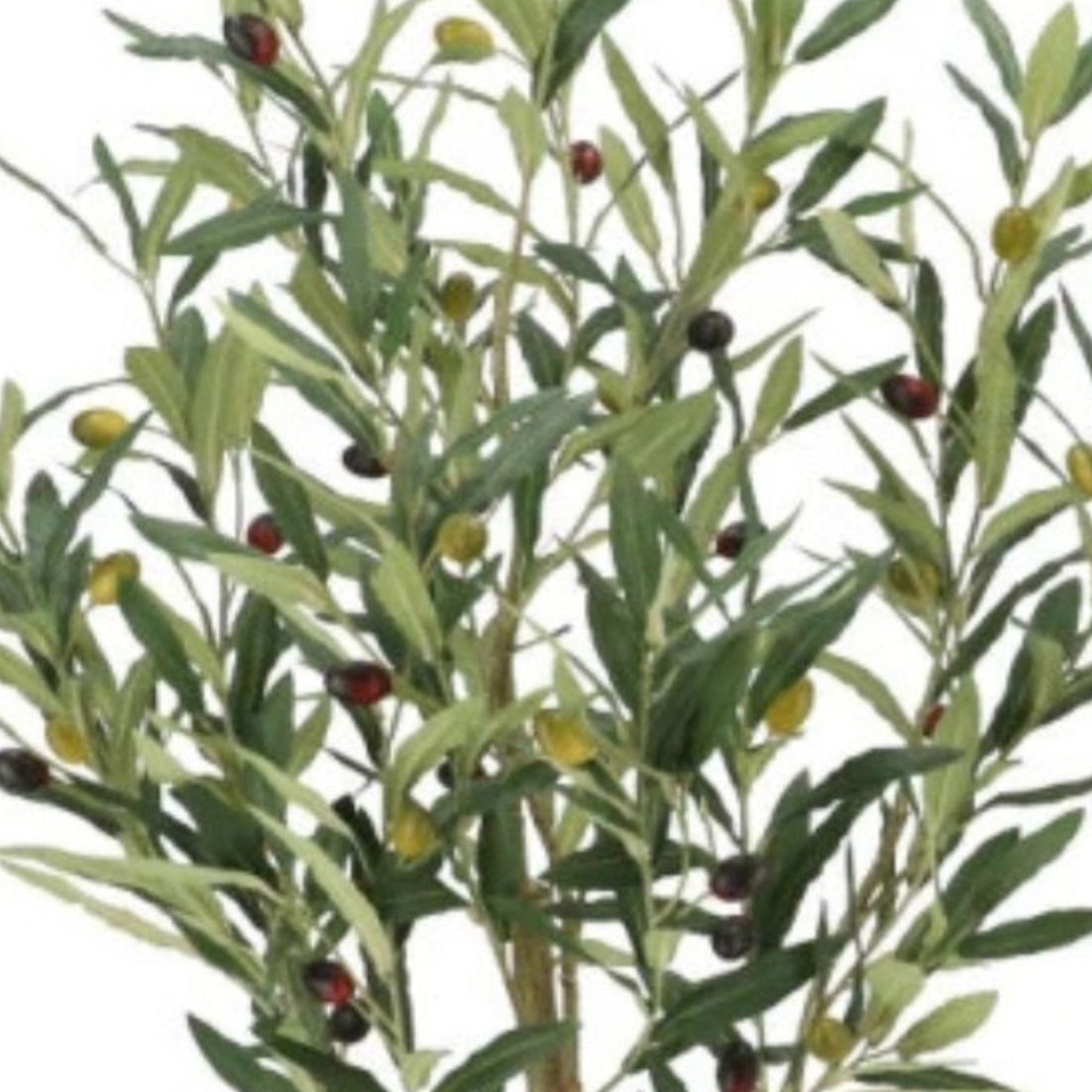 Kunst Olijfboompje op stam - 90cm en 120cm