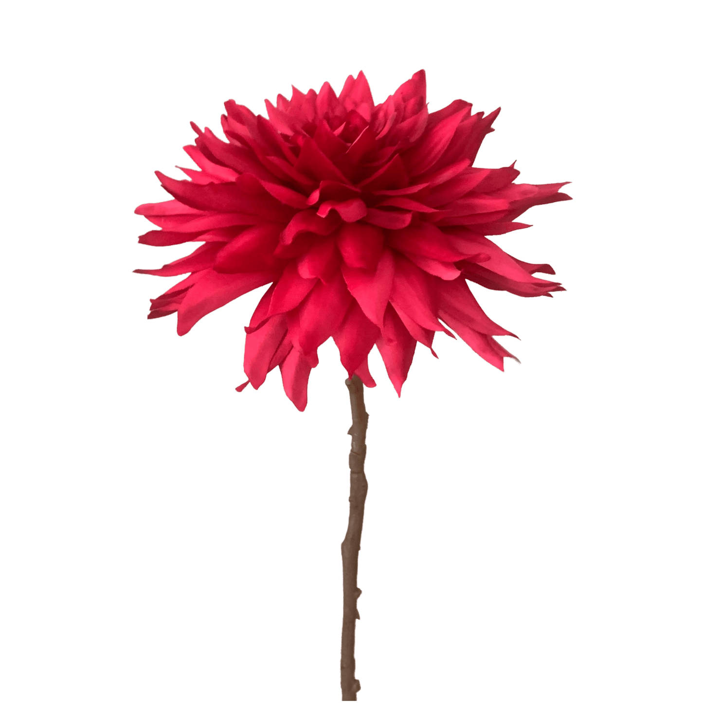 Dahlia groot in rood van Silka