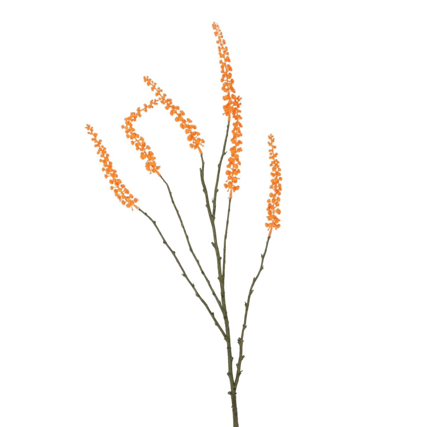 Phytolacca Kunsttak oranje