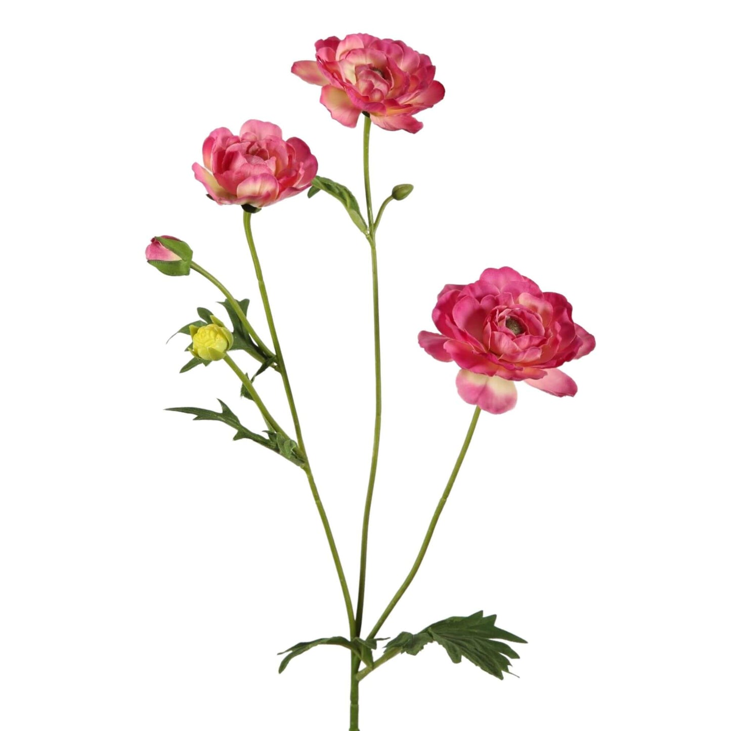Zijdebloem Ocean Peony