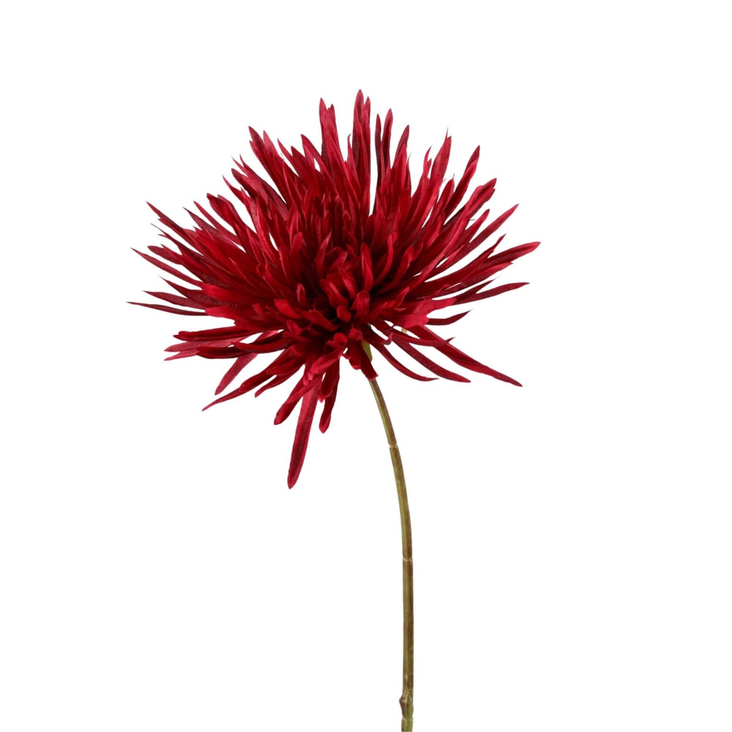 Zijden bloem Aster Bordeauxrood