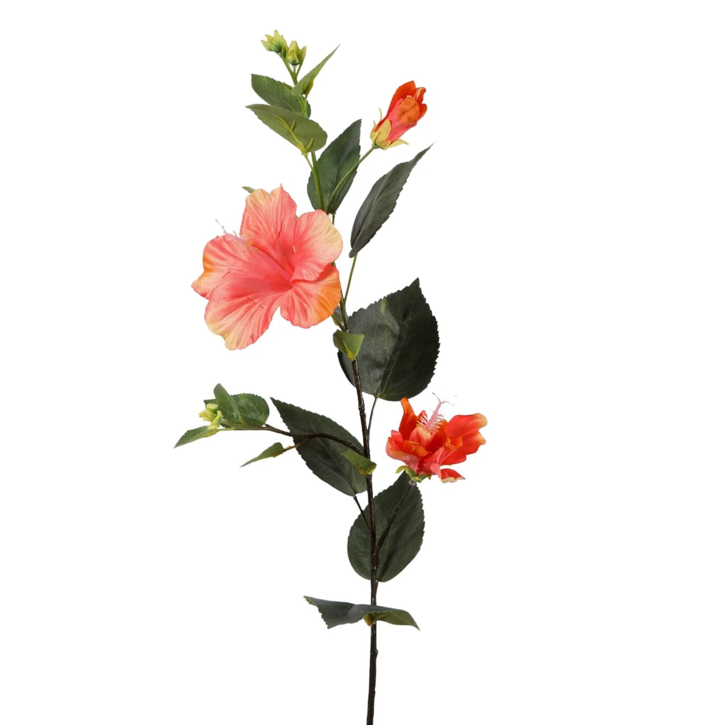 Zijden bloem Hibiscus