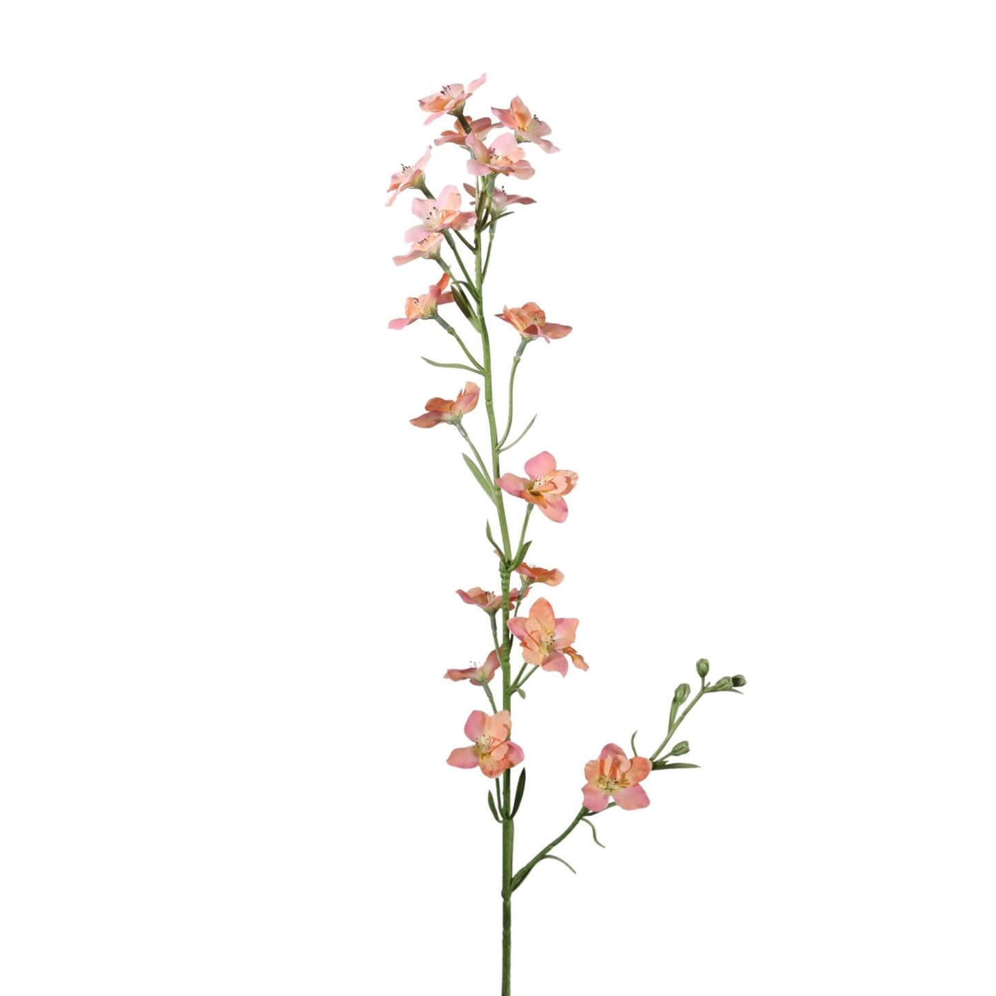 Zijden bloem Larkspur
