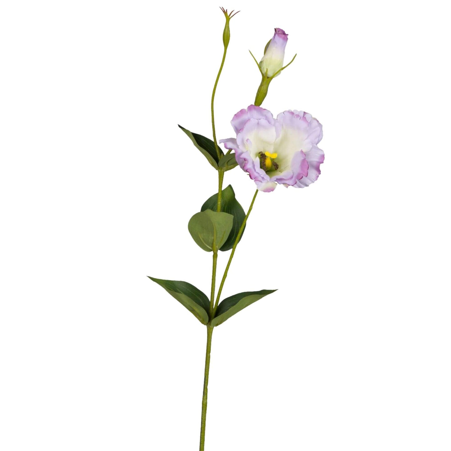 Zijden bloem Lisianthus