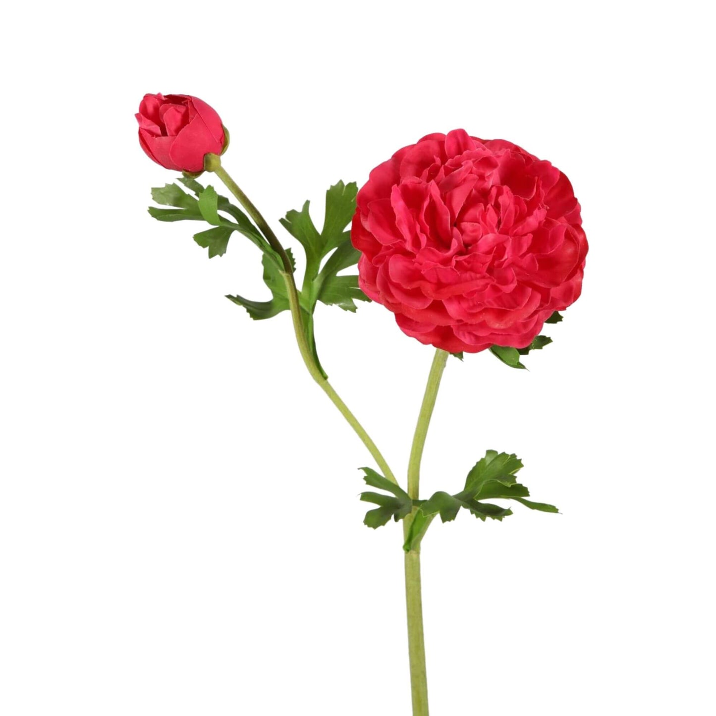 Zijden bloem Ranonkel