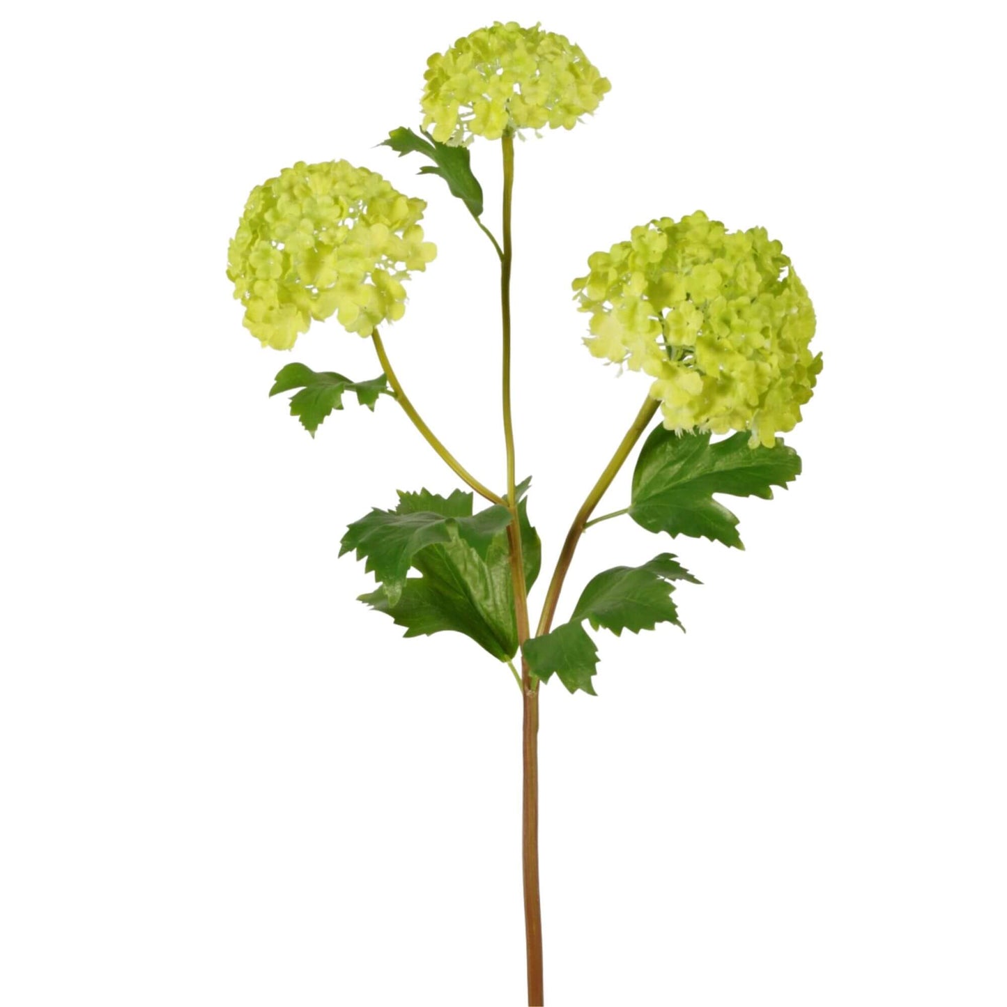 Zijden bloem Sneeuwbal