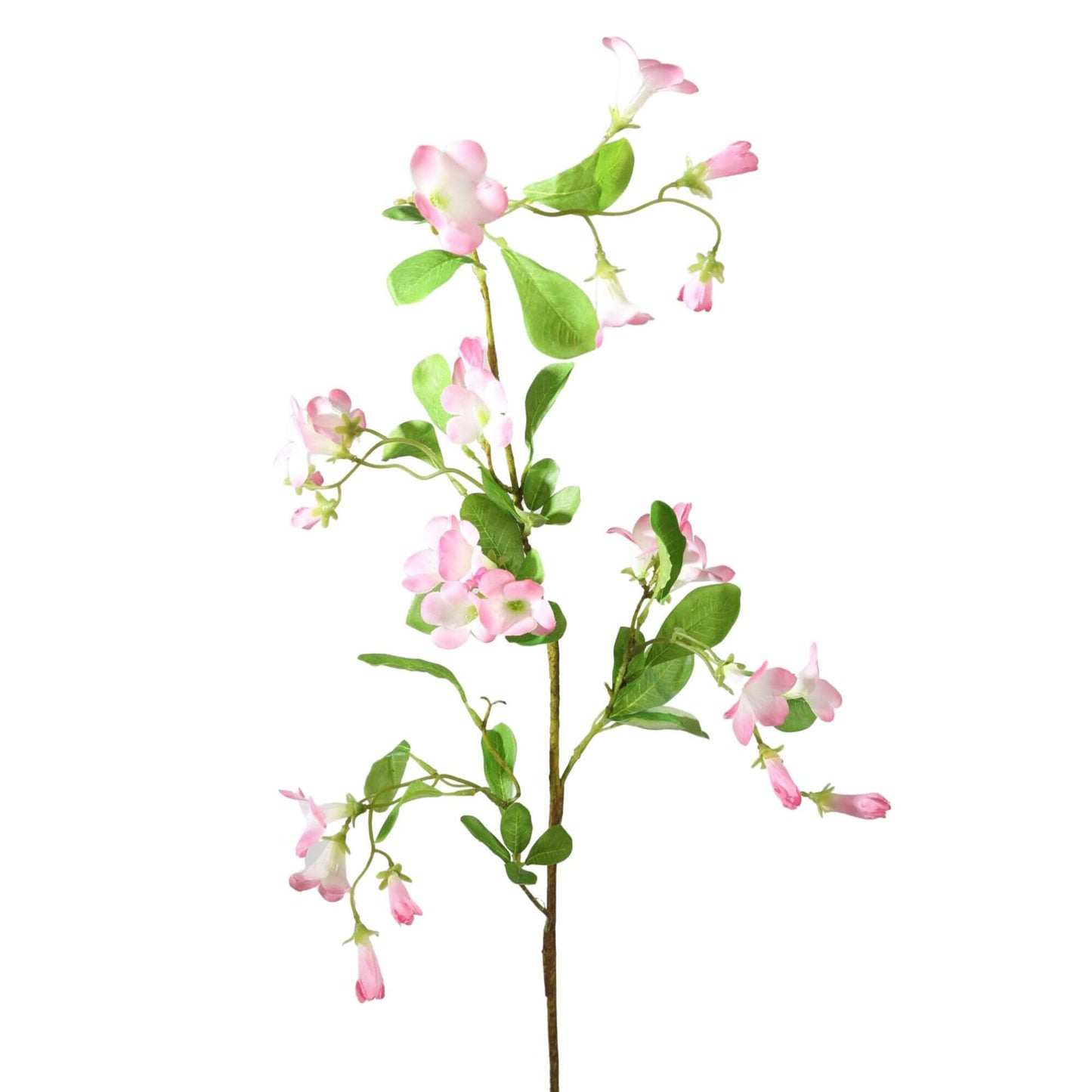 Zijden bloem Trompet klimmer (Campsis) roze