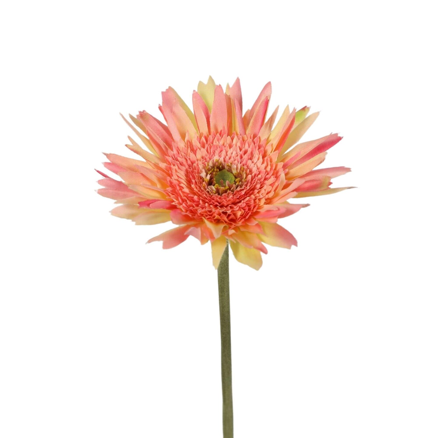 Zijdenbloem Gerbera