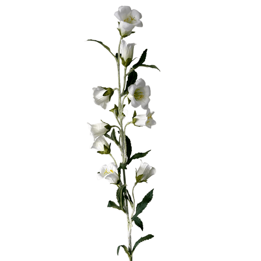 Zijden bloem campanula wit