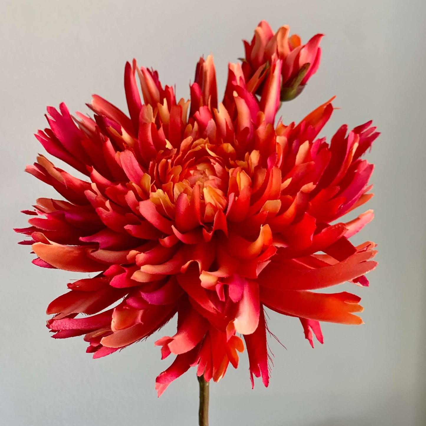 Zijden Chrysant steel van Silka