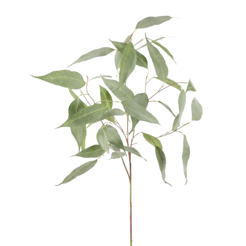 Zijden Eucalyptustak XL -119CM Hoog