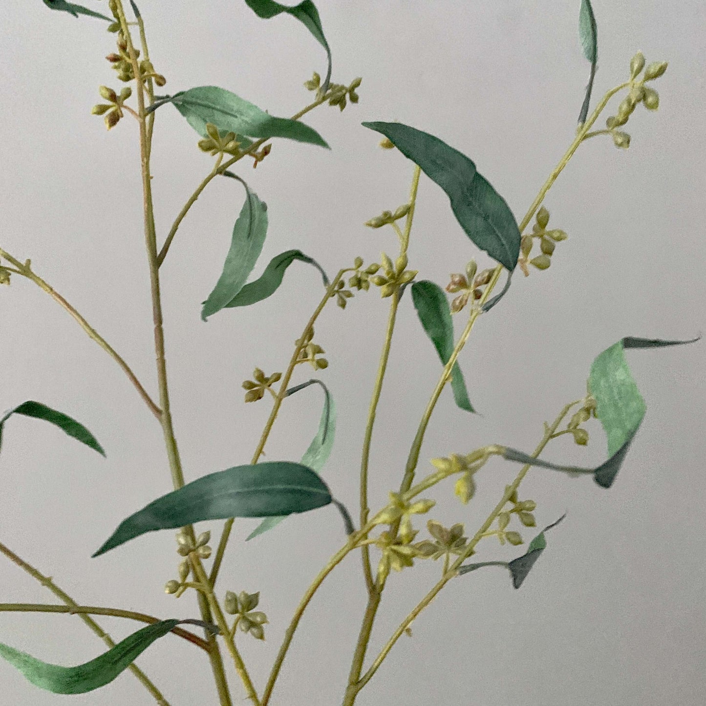 Zijden Eucalyptus Deed tak