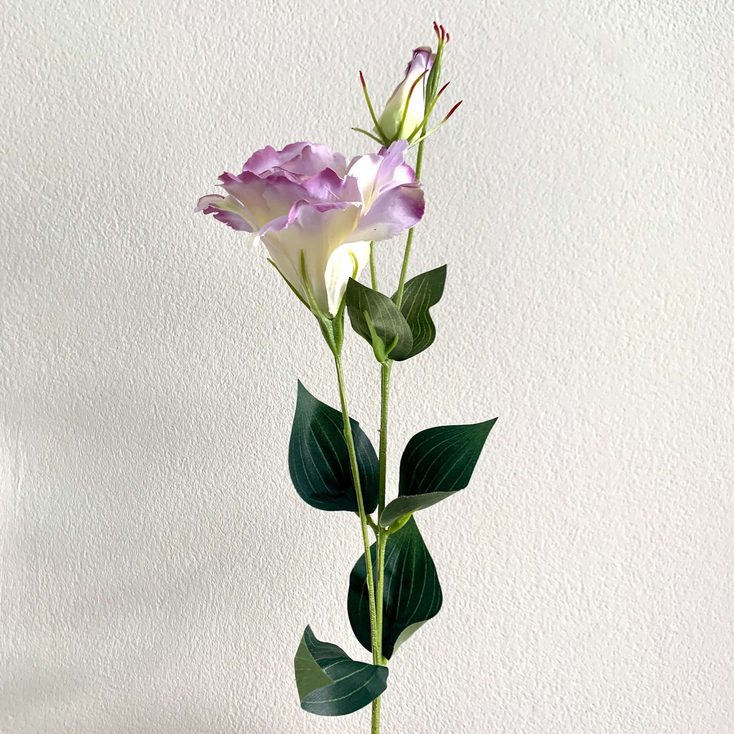 Zijden bloem Lisianthus