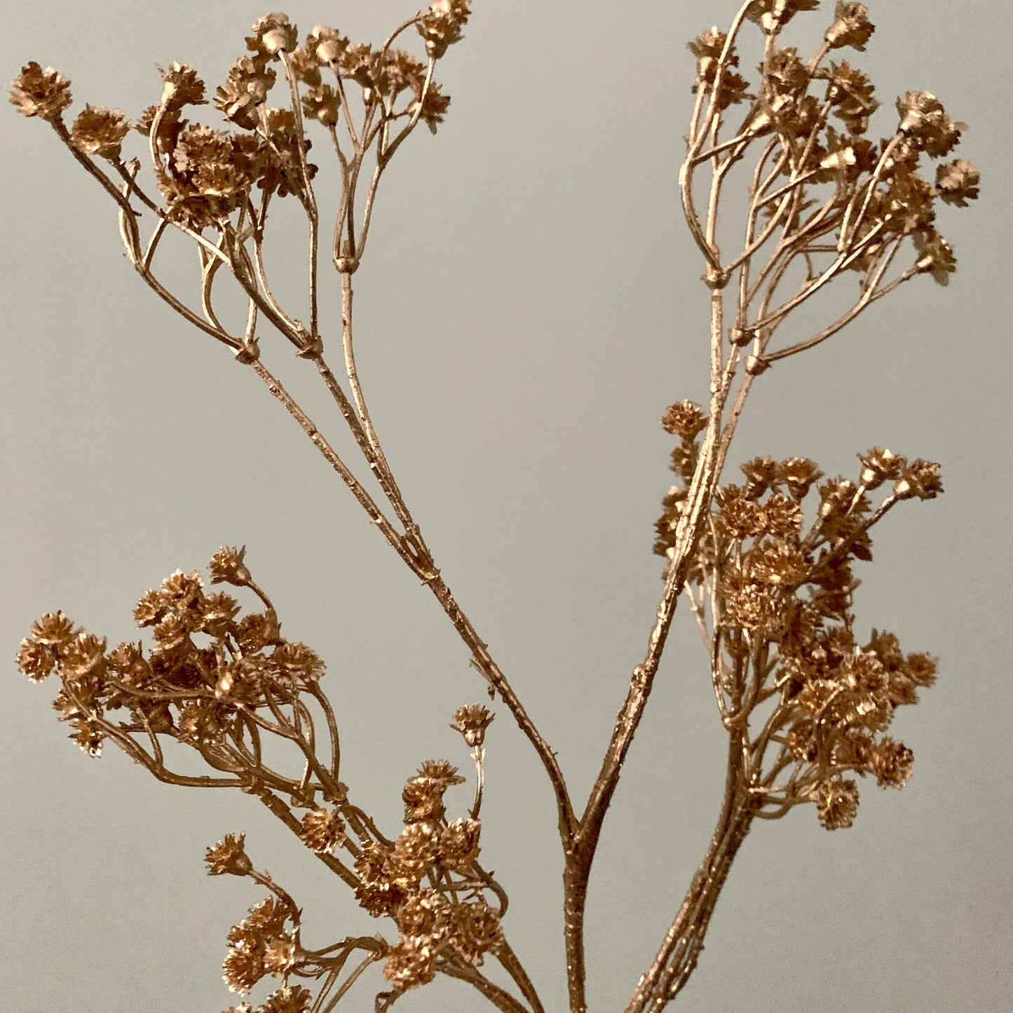 kunst bloem Gypsophilia goud