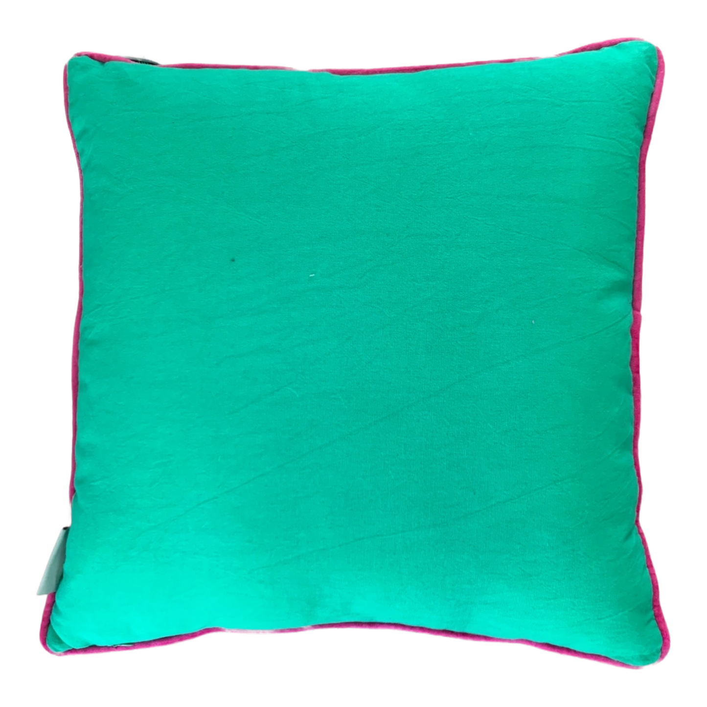 Velours hartjes kussen incl vulling