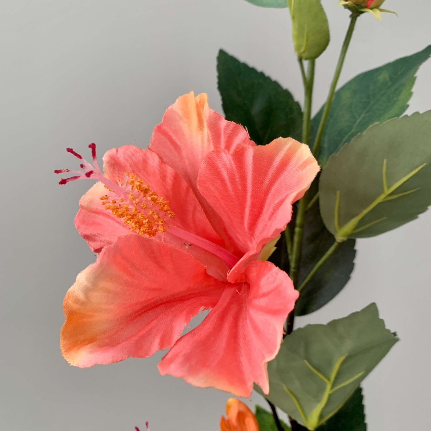 Zijden bloem Hibiscus