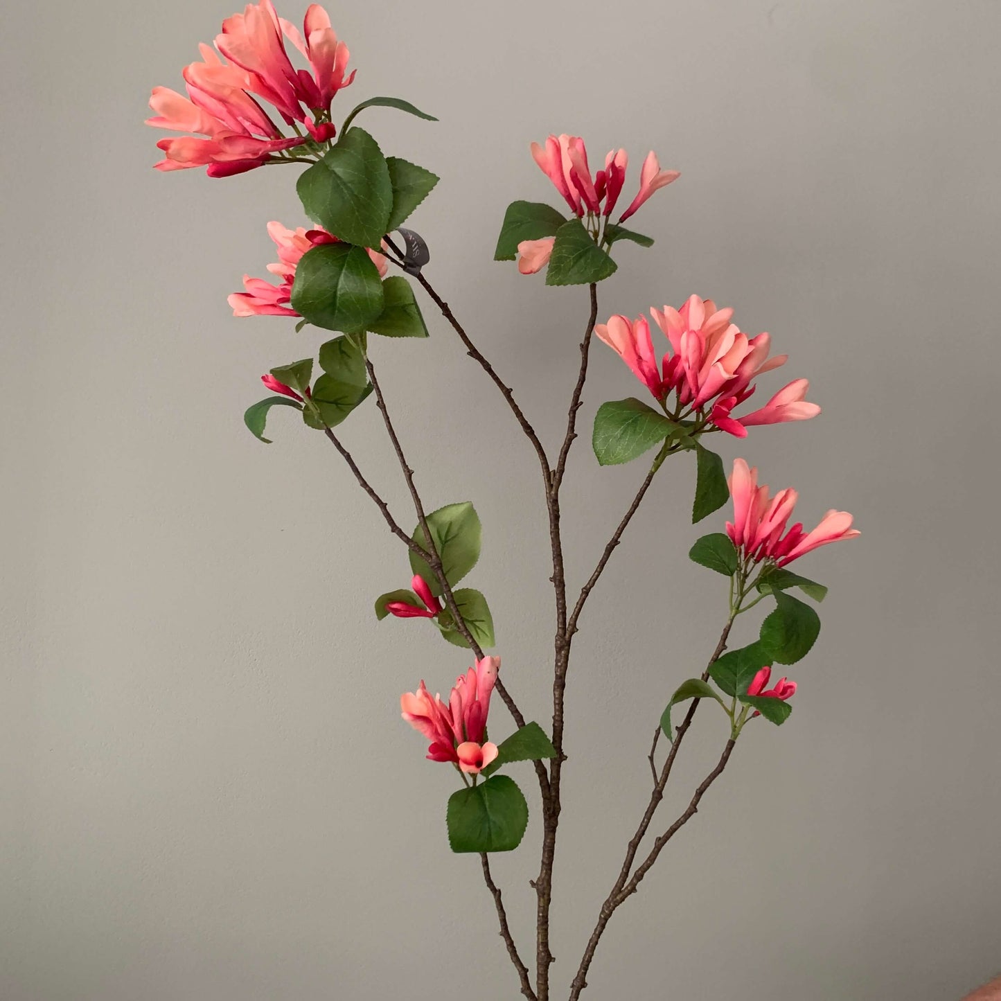 Zijden bloem kamperfoelie 113cm hoog