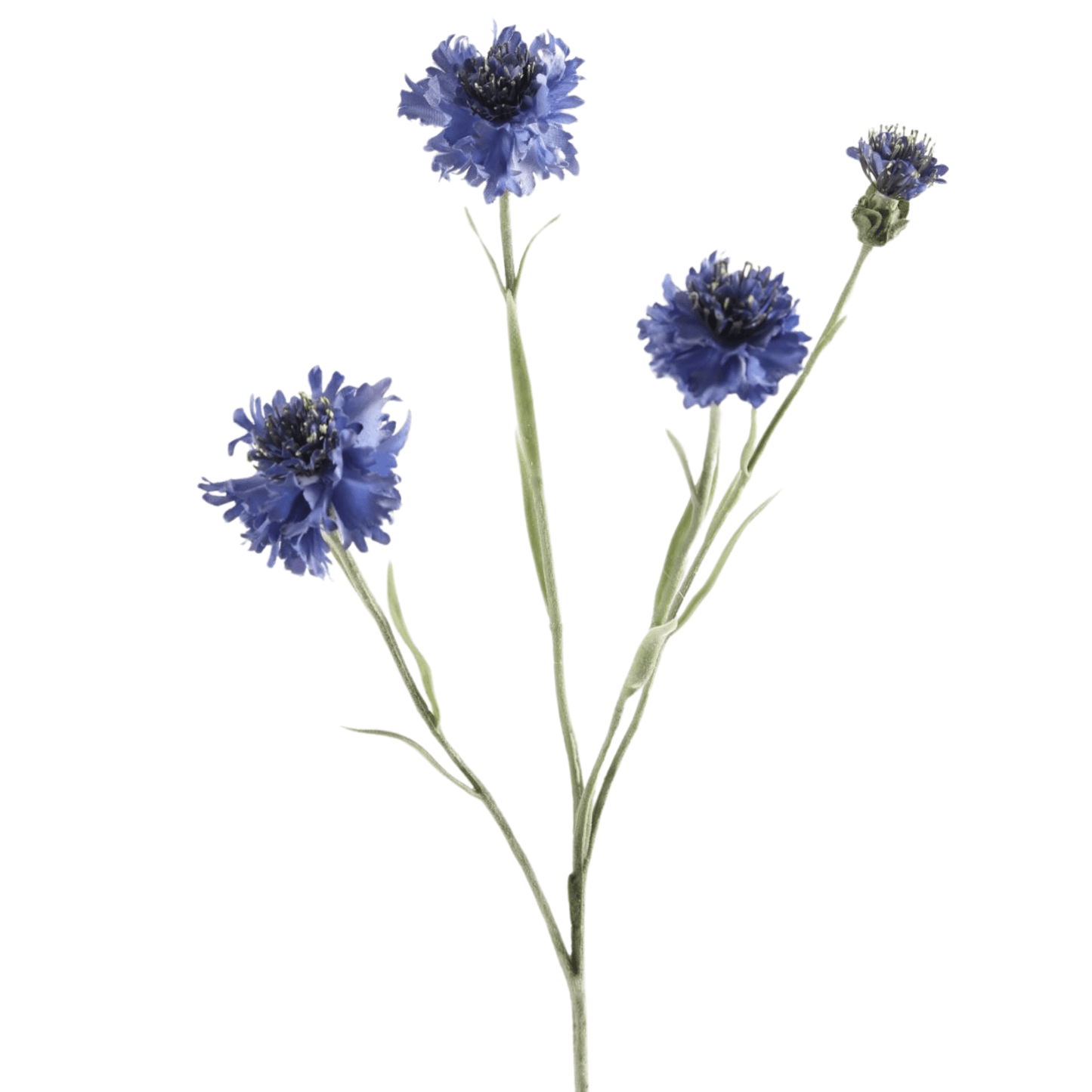 Zijden Korenbloem - 61cm hoog