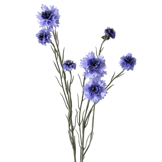 Zijden Korenbloem blauw/paars