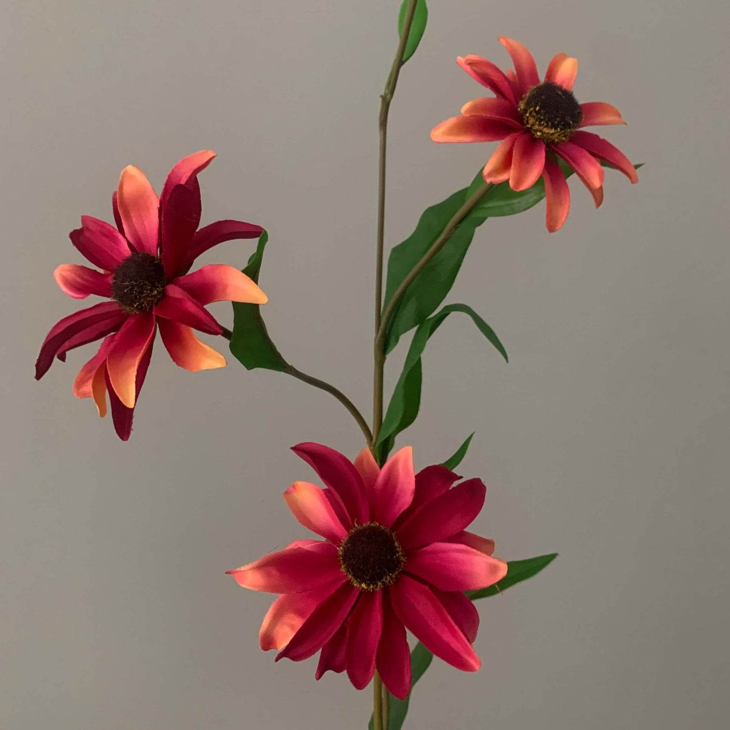 Zijden bloem Black eyes Susan