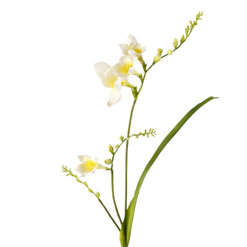 Freesia Kunstbloem – 81 cm – Wit