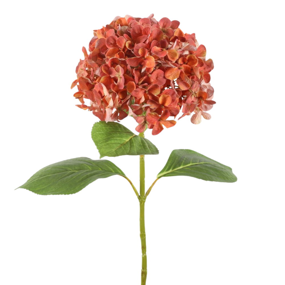 Künstliche Hortensie – 68 cm hoch – Terra – Basics & Trends