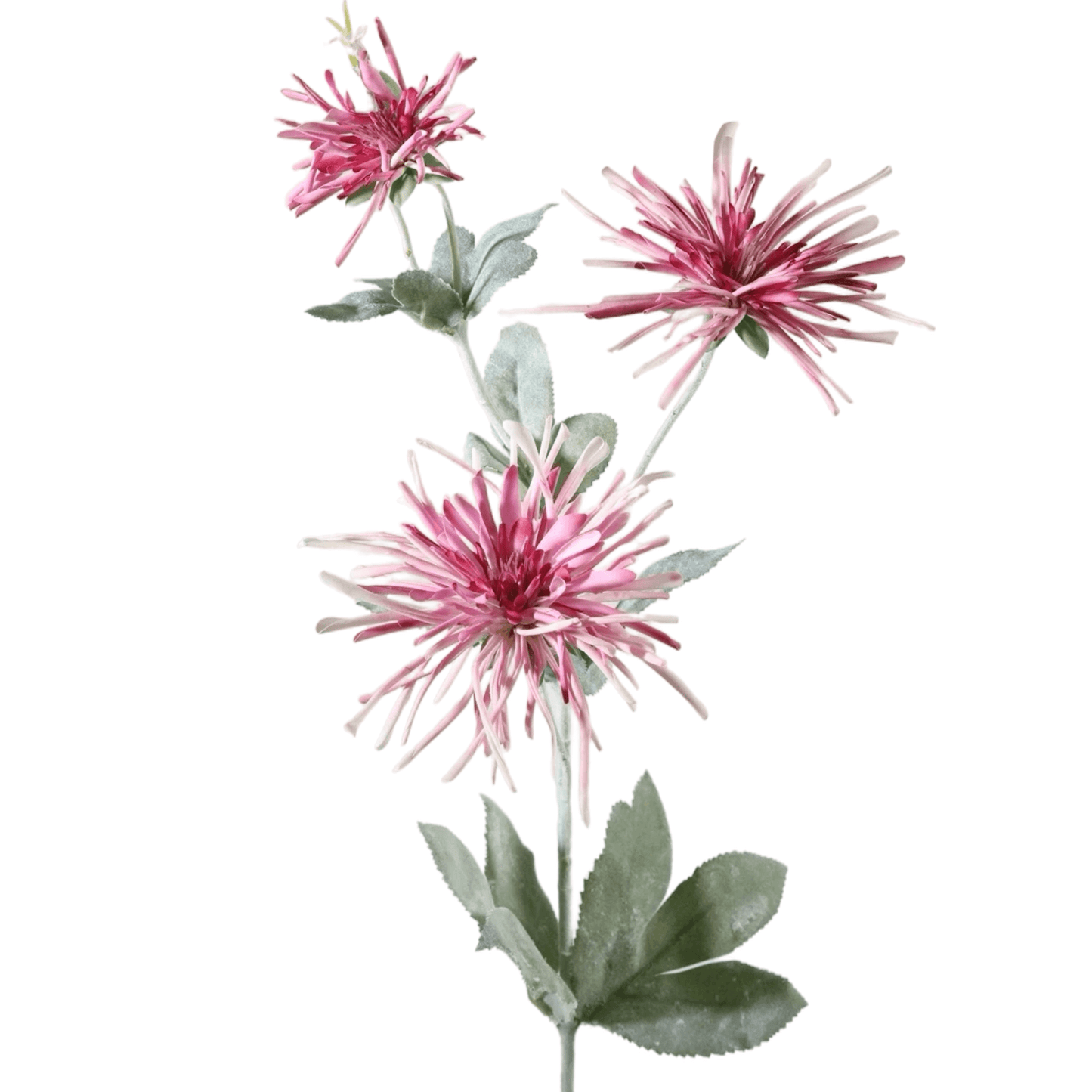 Zijden bloem Chrysant