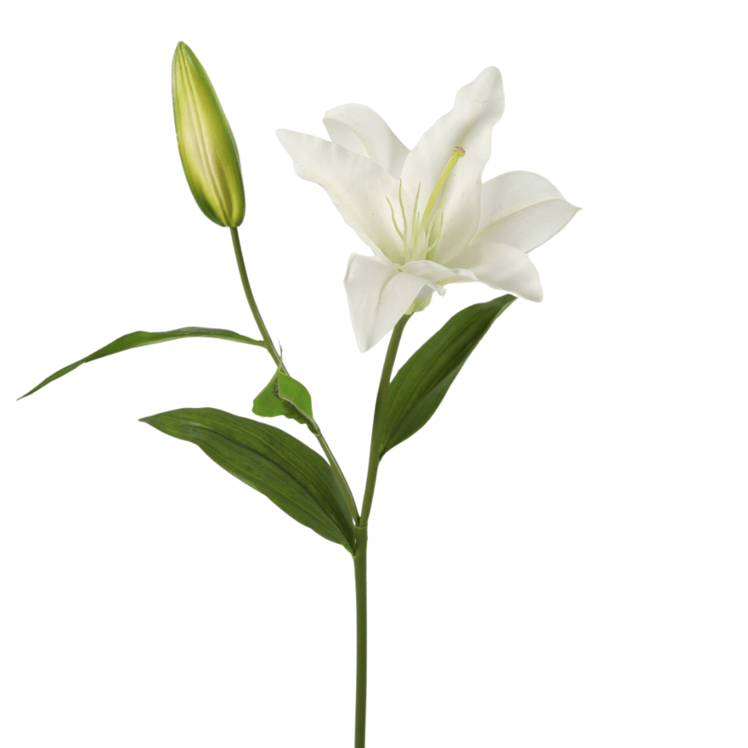 Zijden Lelie – wit – 80 cm hoog