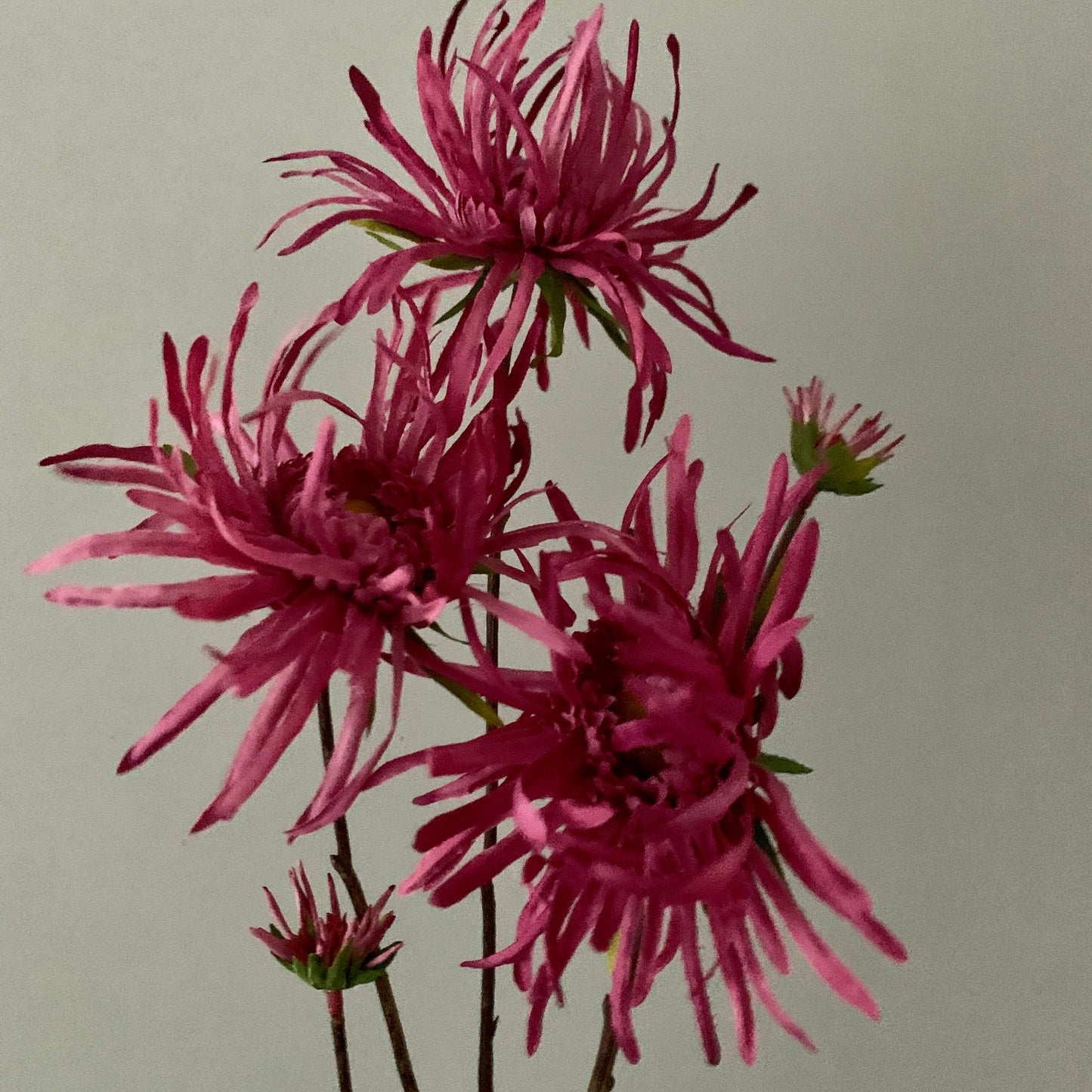 Zijden bloemen Mum Spray
