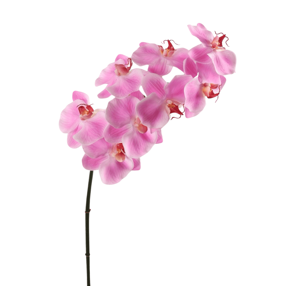 Zijden bloem Orchidee Phalaenopsis - Roze