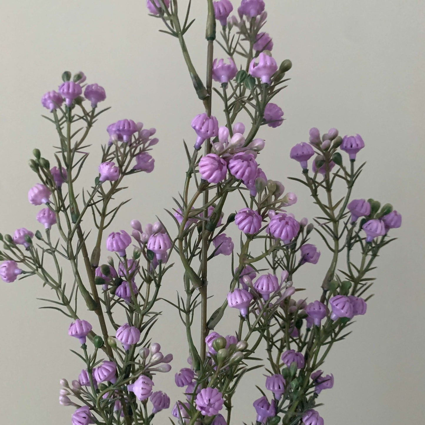 Kunsttak Gypsophila paars