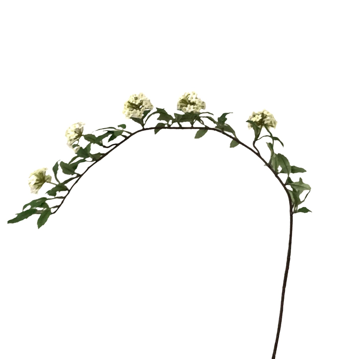 Kunsttak Burnet