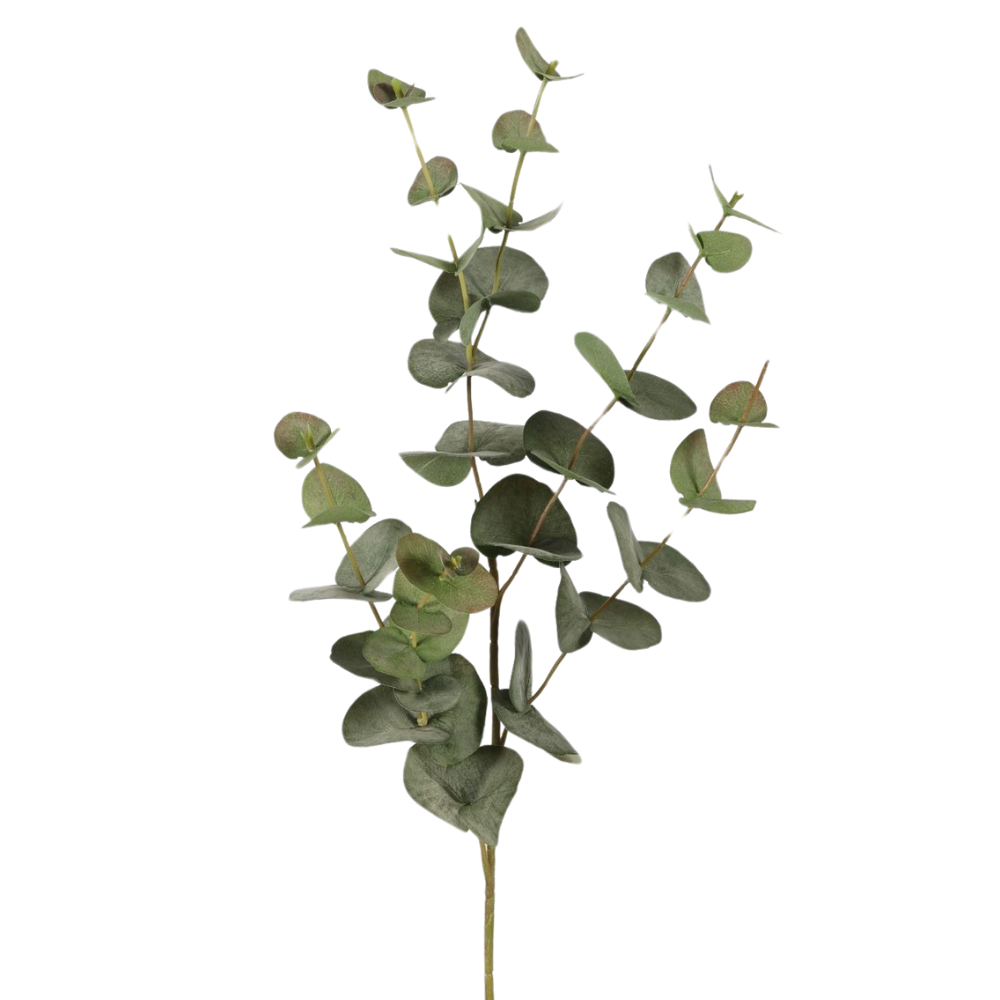 Zijden Eucalyptustak - 87cm hoog