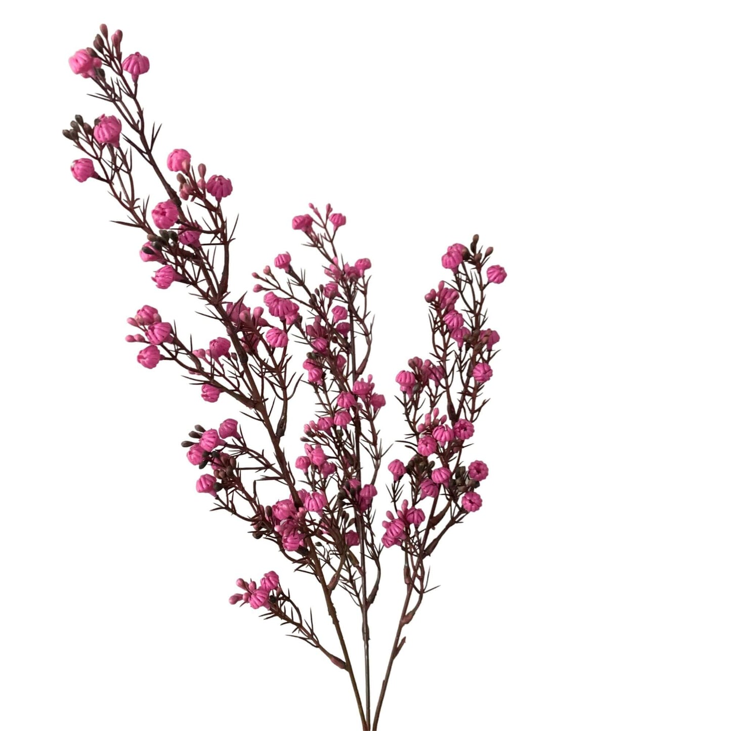 Kunsttak Gypsophila fucsia roze