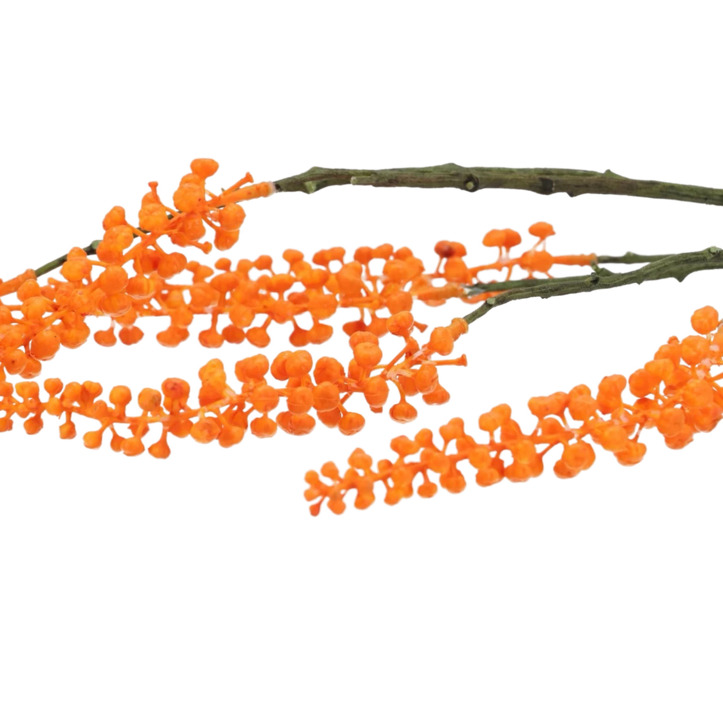 Phytolacca Kunsttak oranje