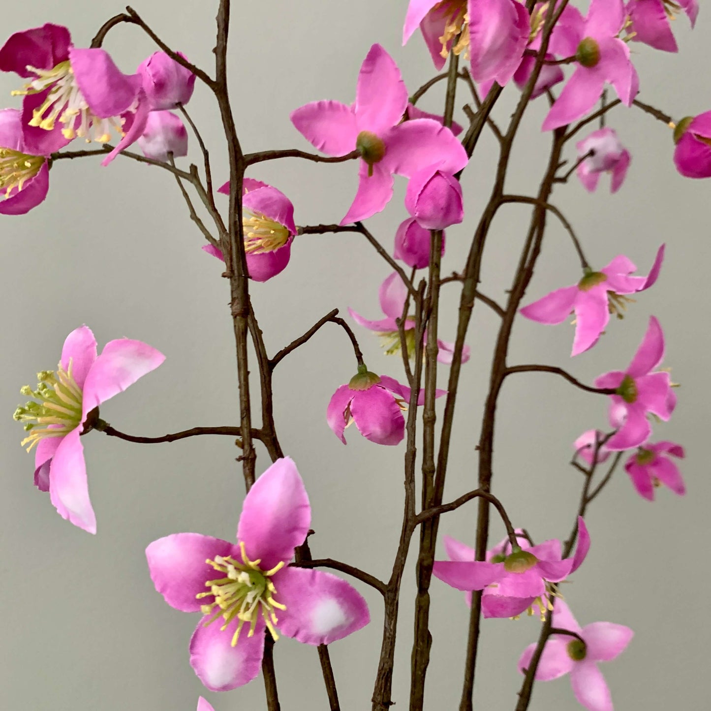 Kunsttak Thalictrum roze van Silka