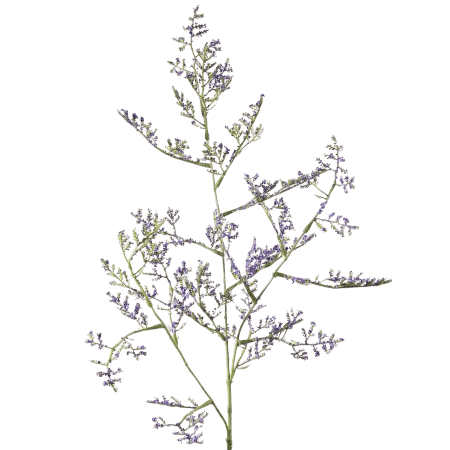 Limonium kunsttak – lavendel