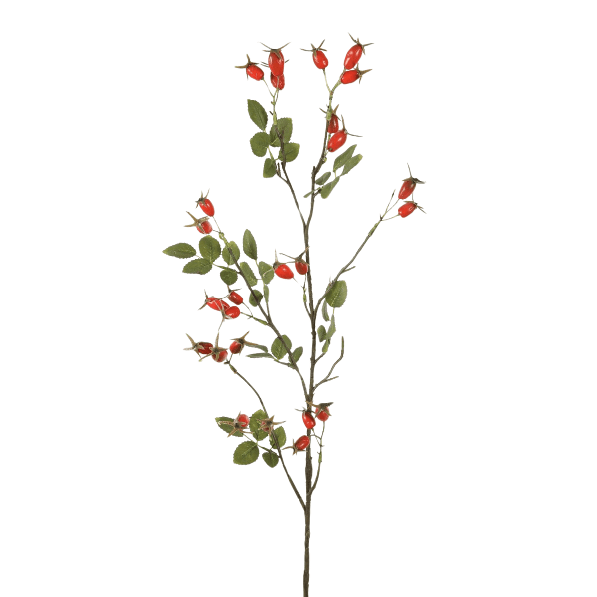 Rozenbottel kunsttak rood - 92 cm
