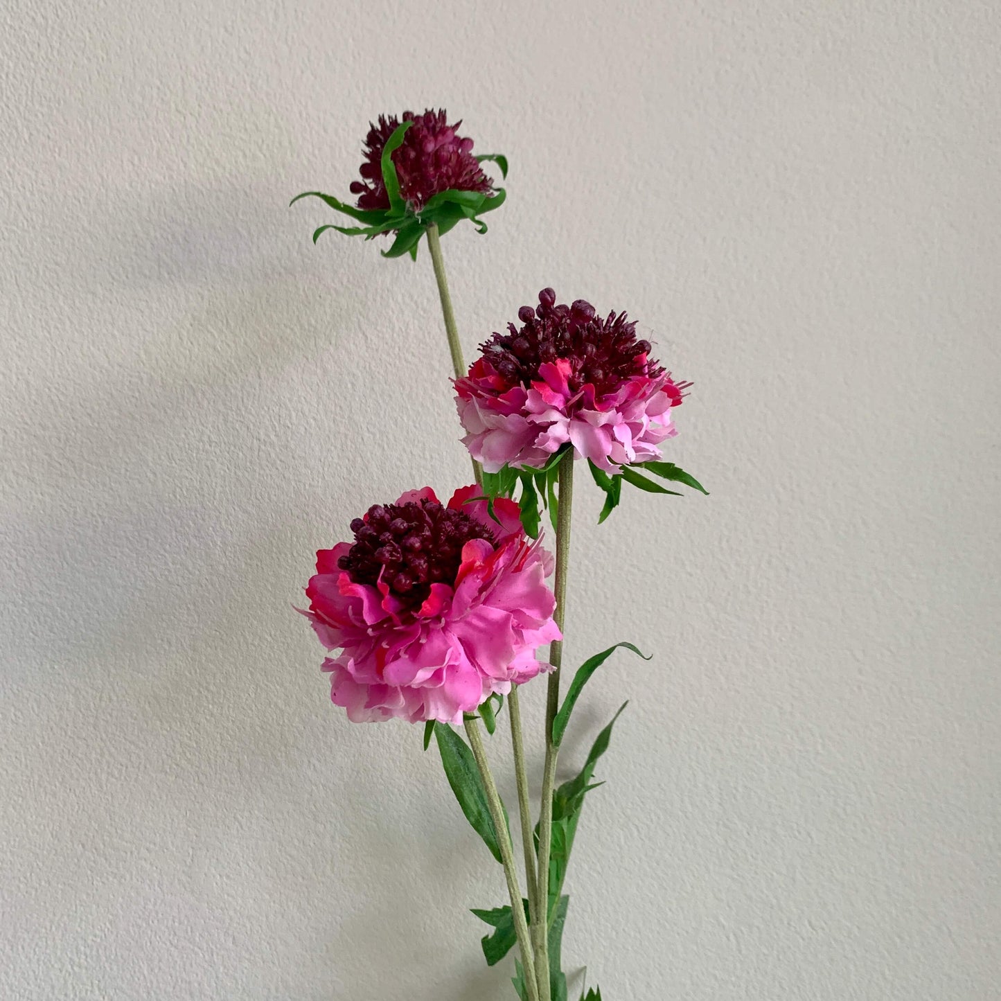 Zijden Scabiose roze
