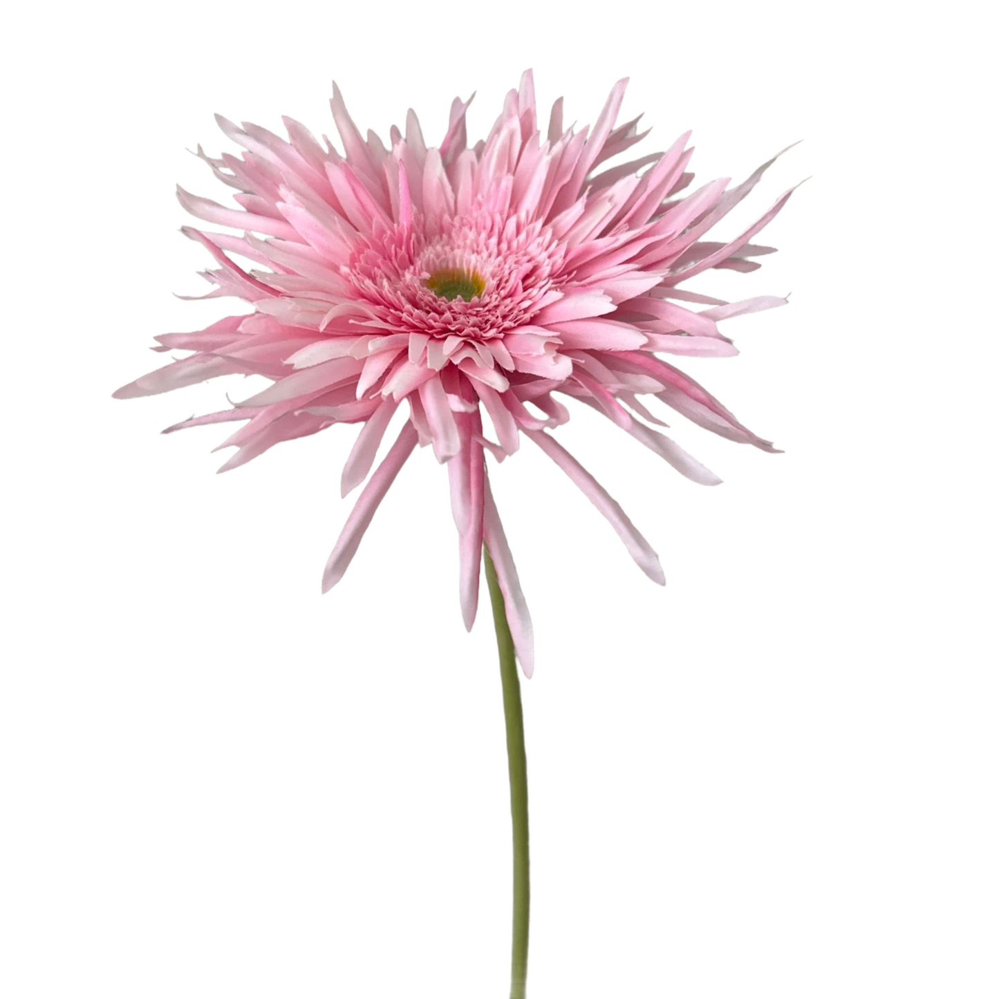 Zijden Bloem Spider gerbera