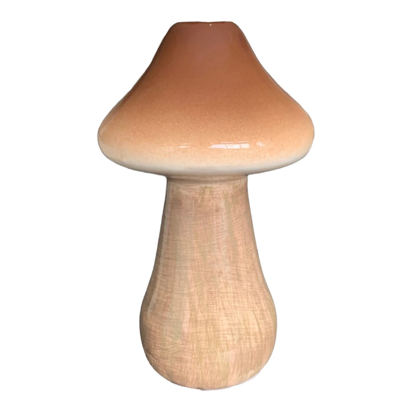 Vaas Paddenstoel Amanita Bruin