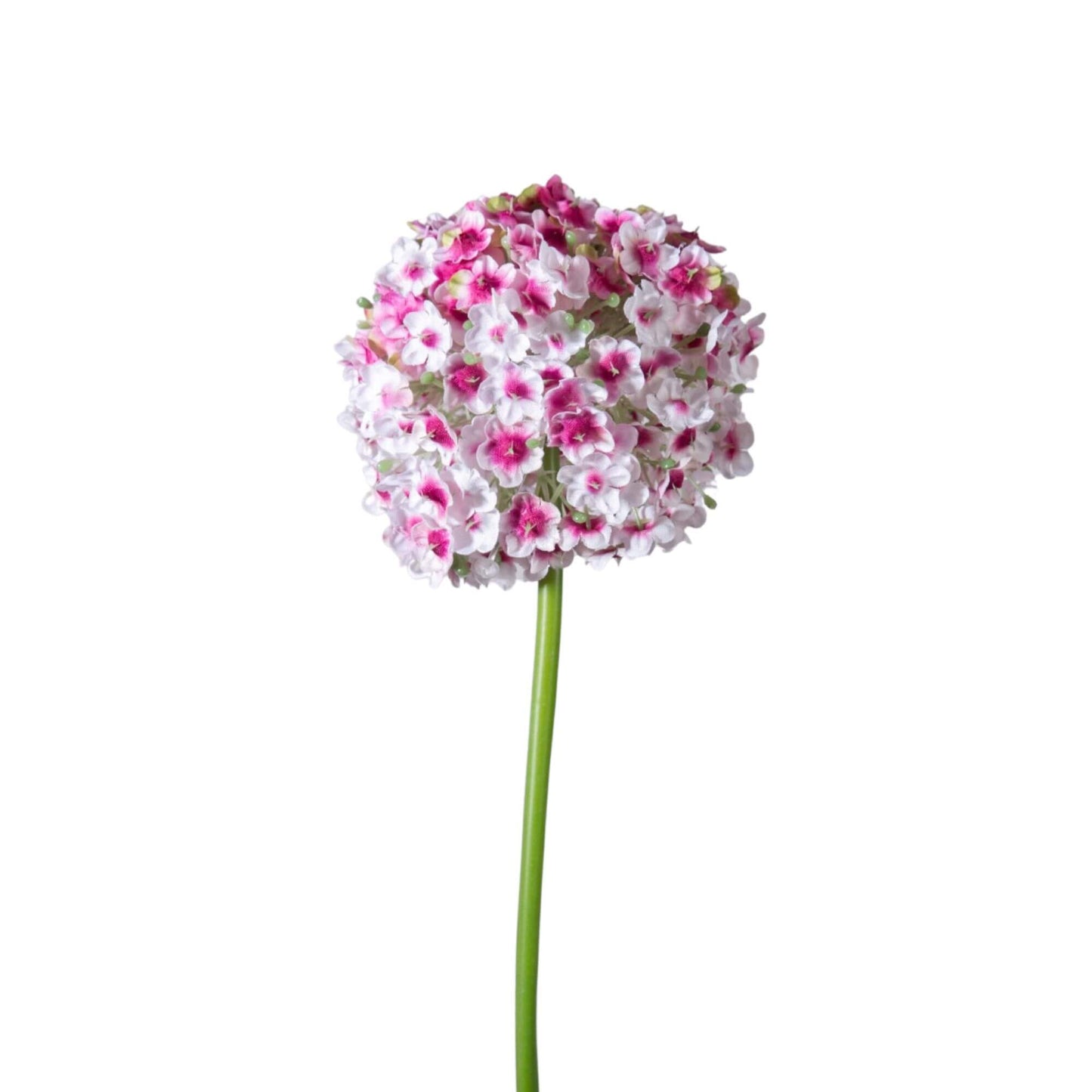 Zijden Allium bloem