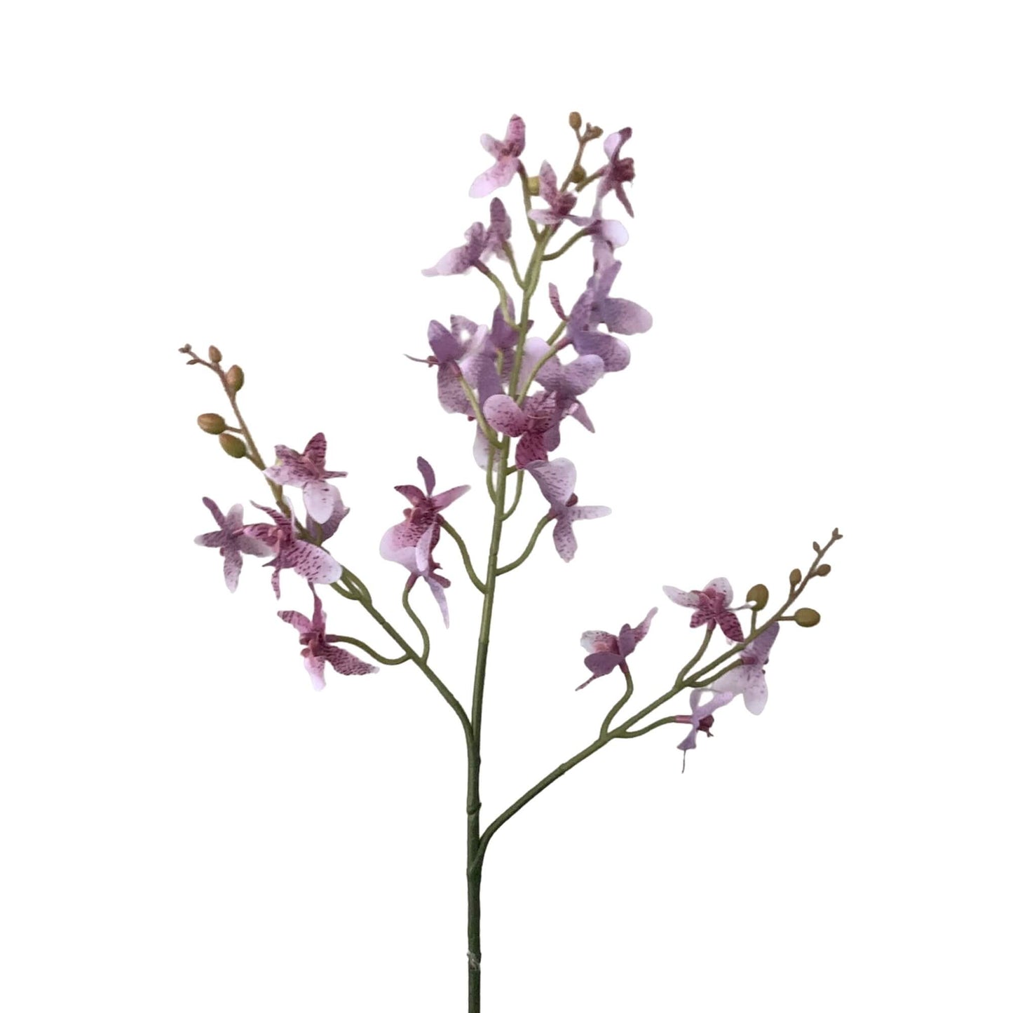 Zijden bloem Dancing Orchidee