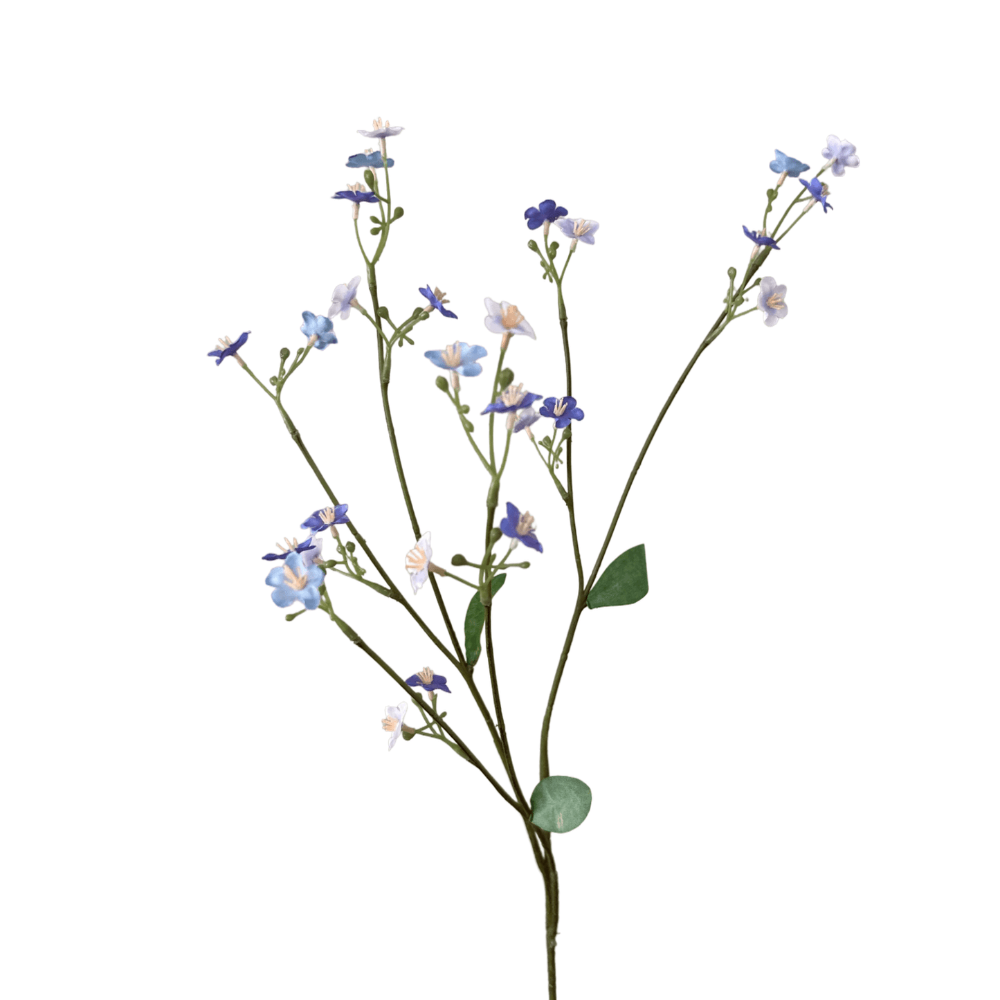 Zijden vergeet-me-niet bloemetjes in blauw