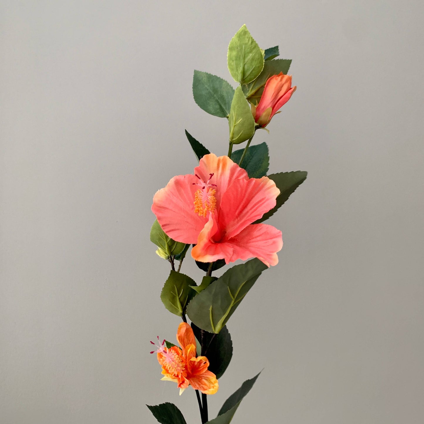 Zijden bloem Hibiscus