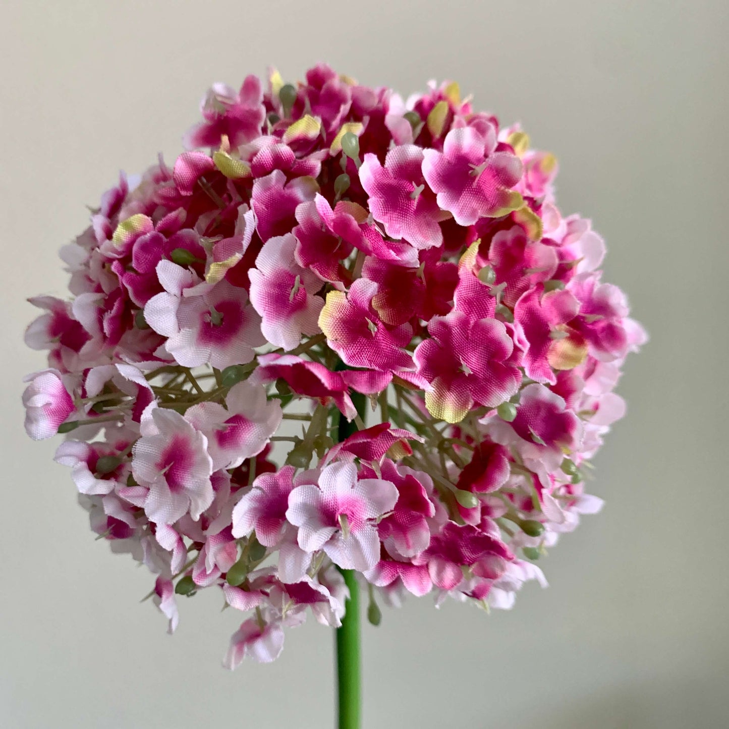 Zijden Allium bloem