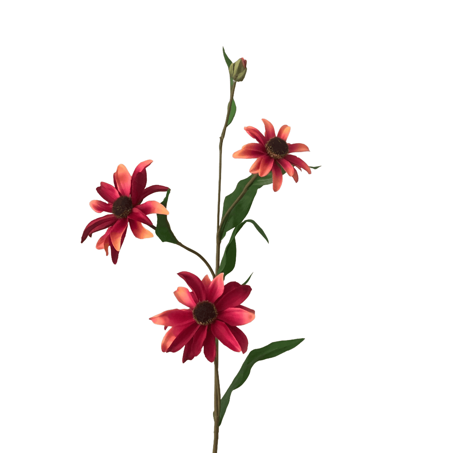 Zijden bloem Black eyes Susan